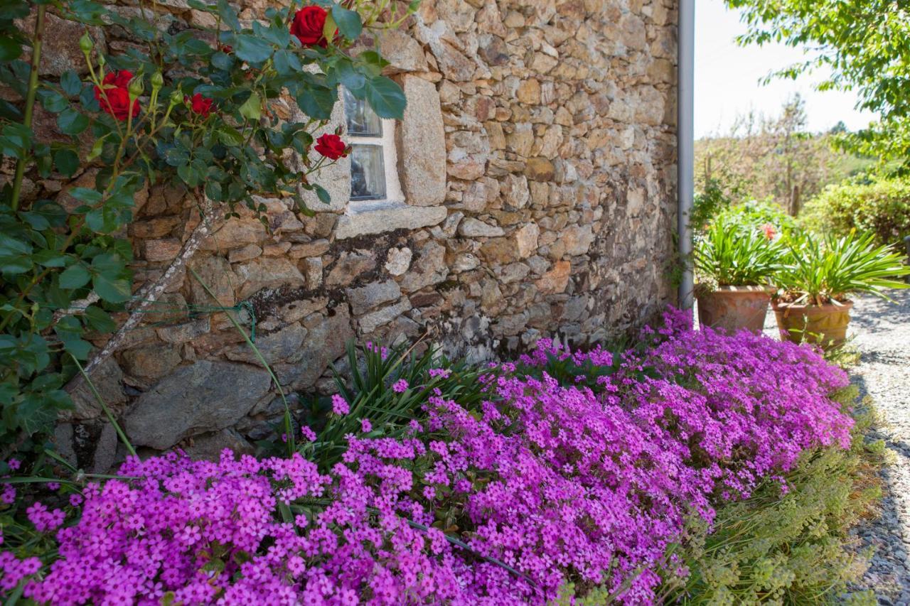 B&B Fleur De Lys Bleue Soudaine-Lavinadière Esterno foto